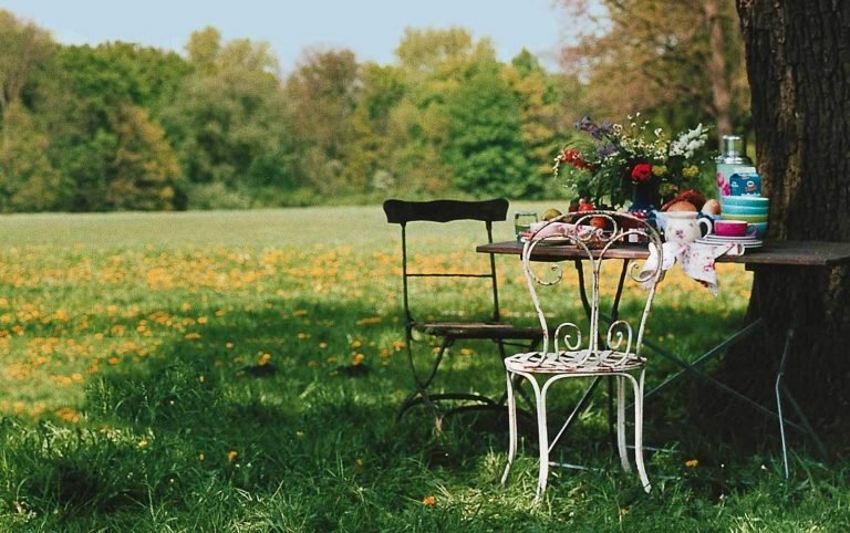 Jak i kiedy przycinać i formować niwaki?